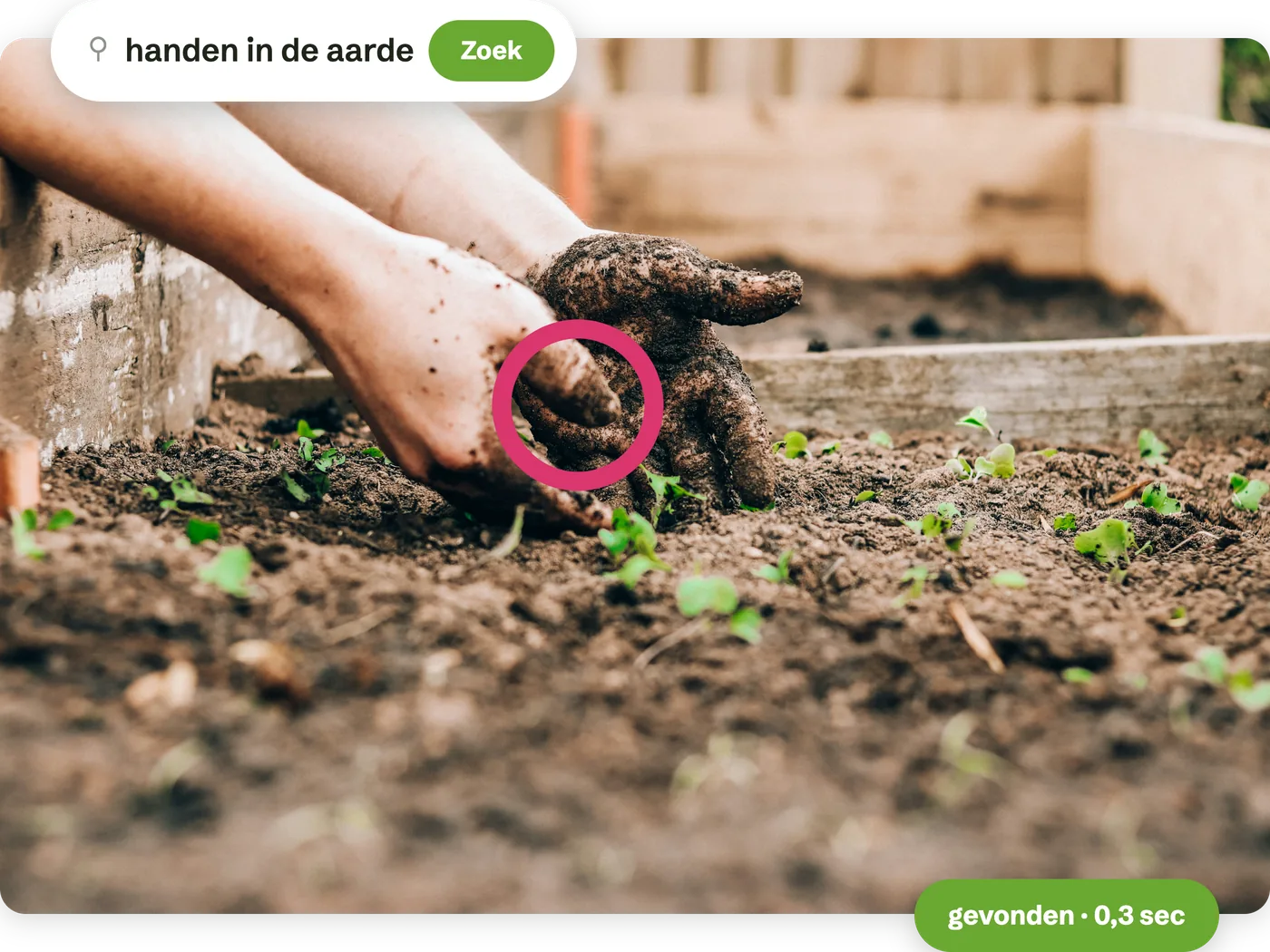 Twee handen in de aarde van een moestuin.